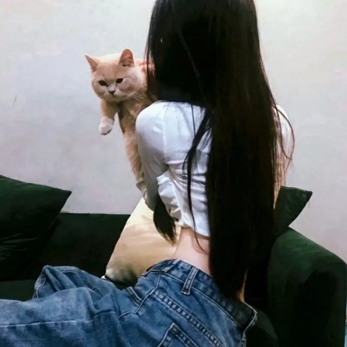 忍者收藏